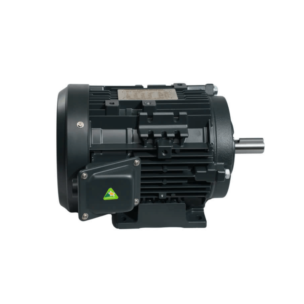 Động Cơ Điện TOSHIBA IE3 0.75KW 2 Cực Chân Đế