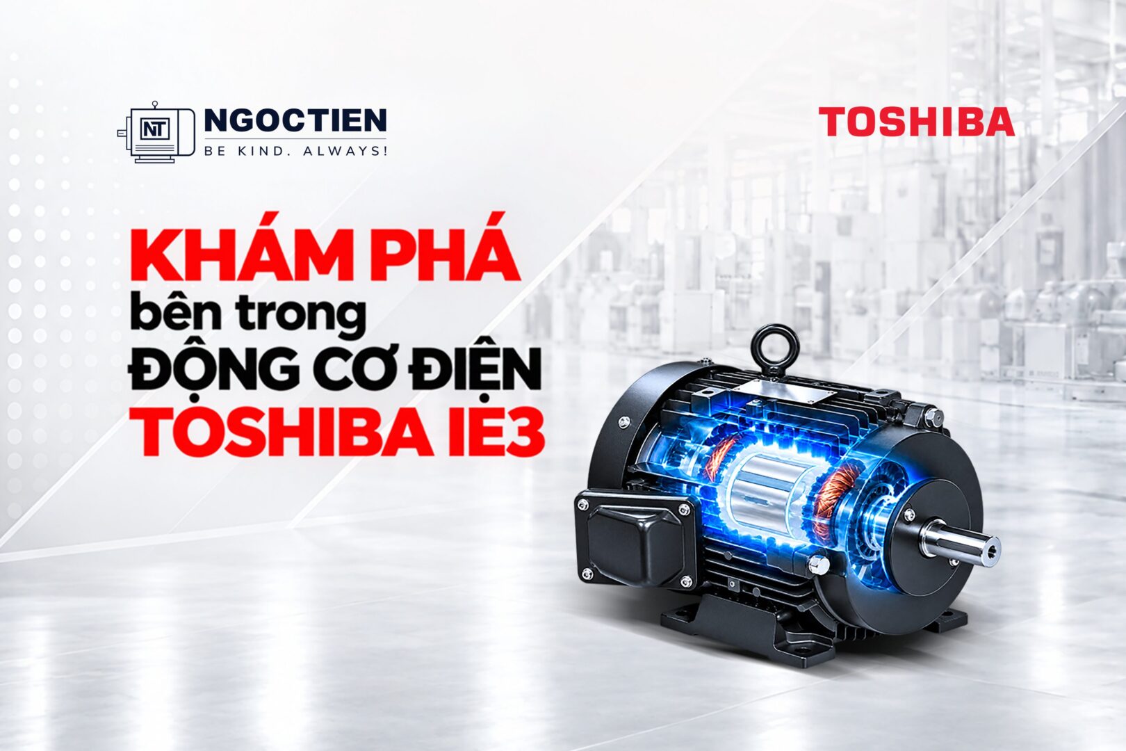 động cơ điện toshiab ie3 motor toshiba động cơ hiệu suất cao