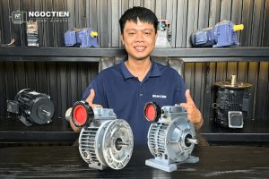 điều tốc wuma mặt bích