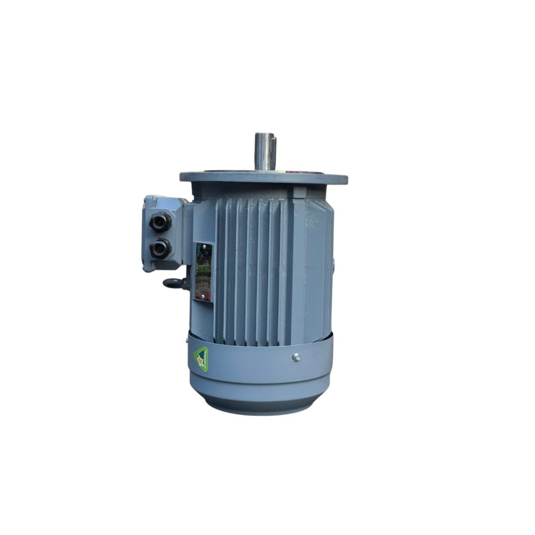 động cơ điện sgp mặt bích b5