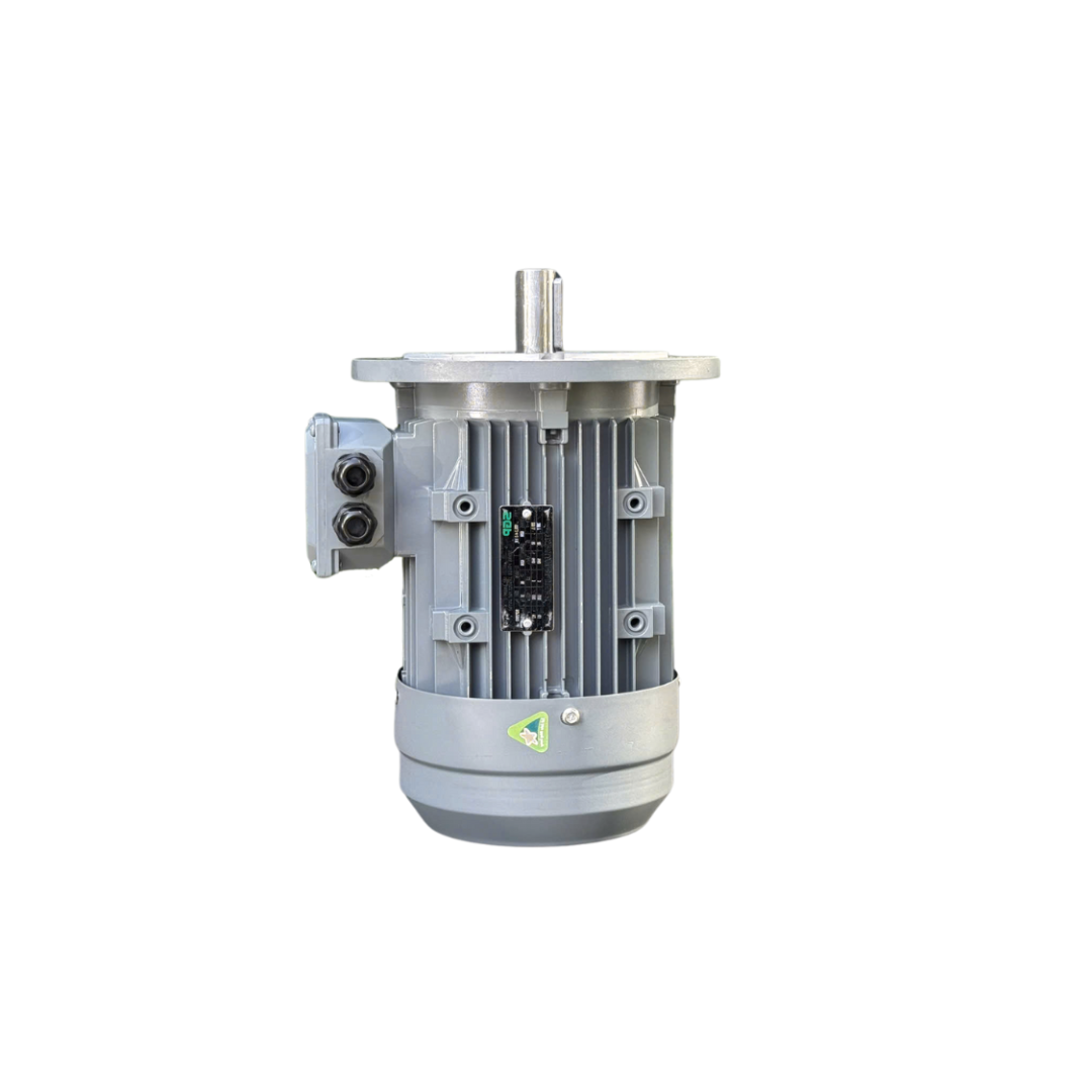 động cơ điện sgp mặt bích b5