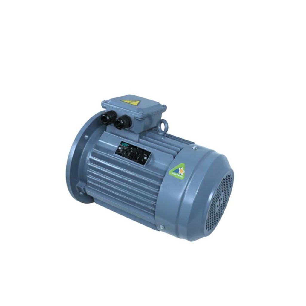 Động Cơ Điện SGP 4kW 4 Cực Mặt Bích