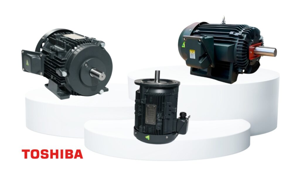motor 3 pha toshiba chính hãng